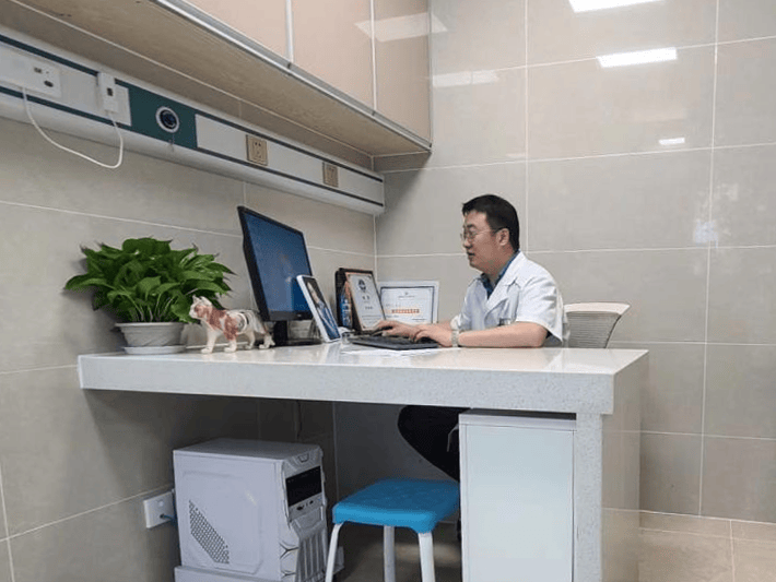 24小时在线咨询宠物医生