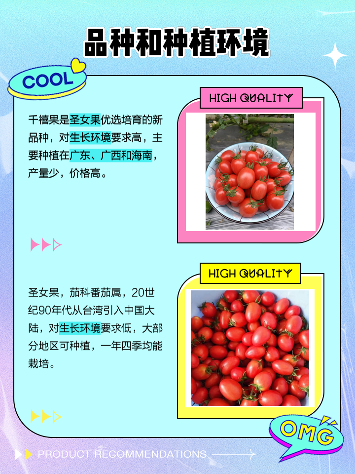 圣女果可以和番薯同个时段吃吗