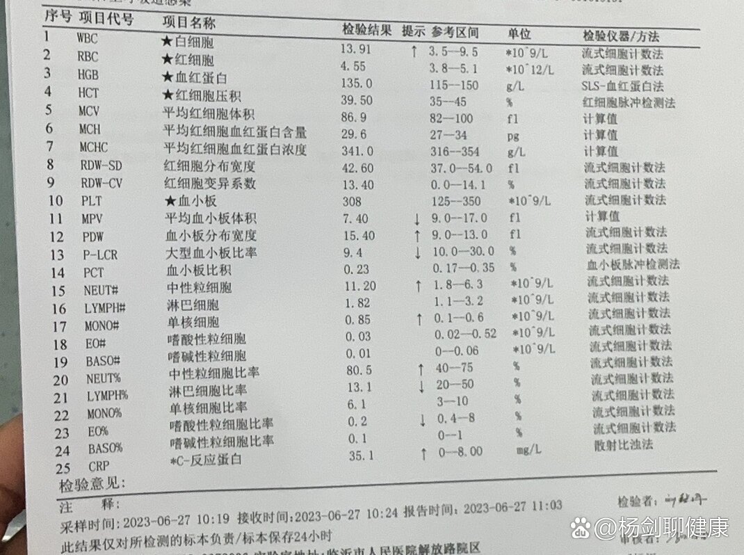 血常规单核细胞高是怎么回事
