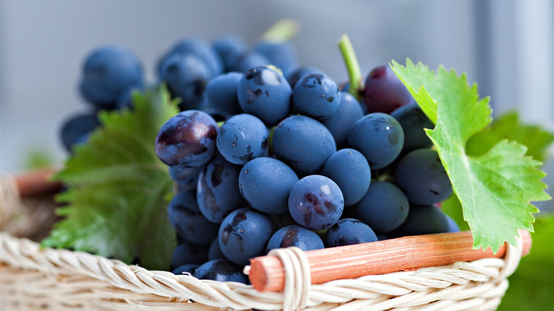 葡萄是凉性水果吗