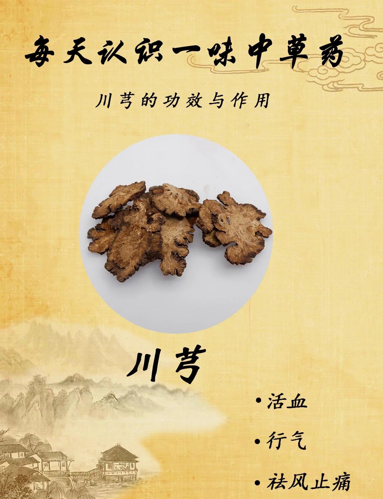 川芎的功效与作用