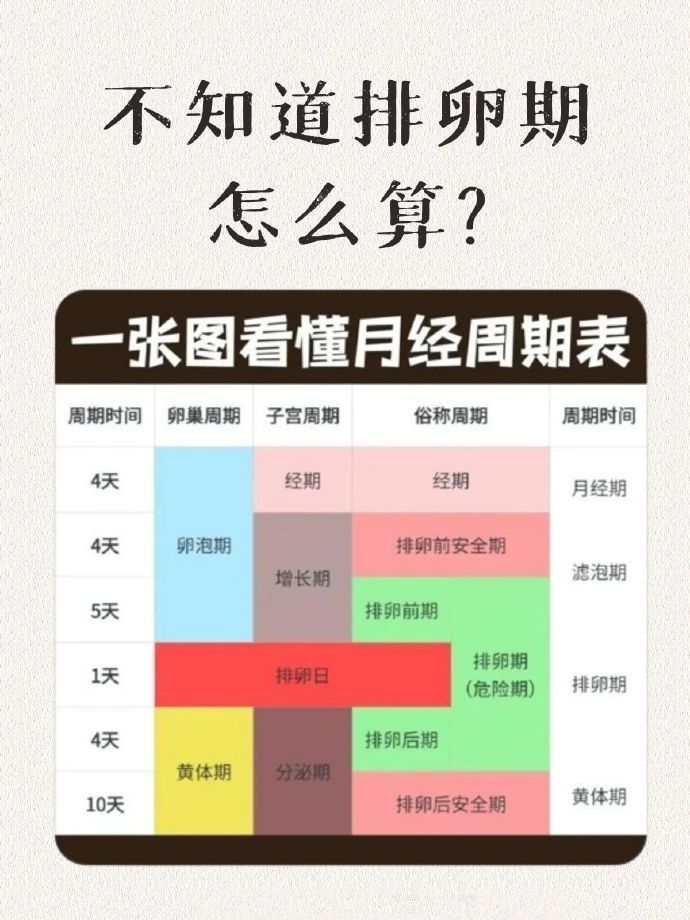 排卵后几天来月经?