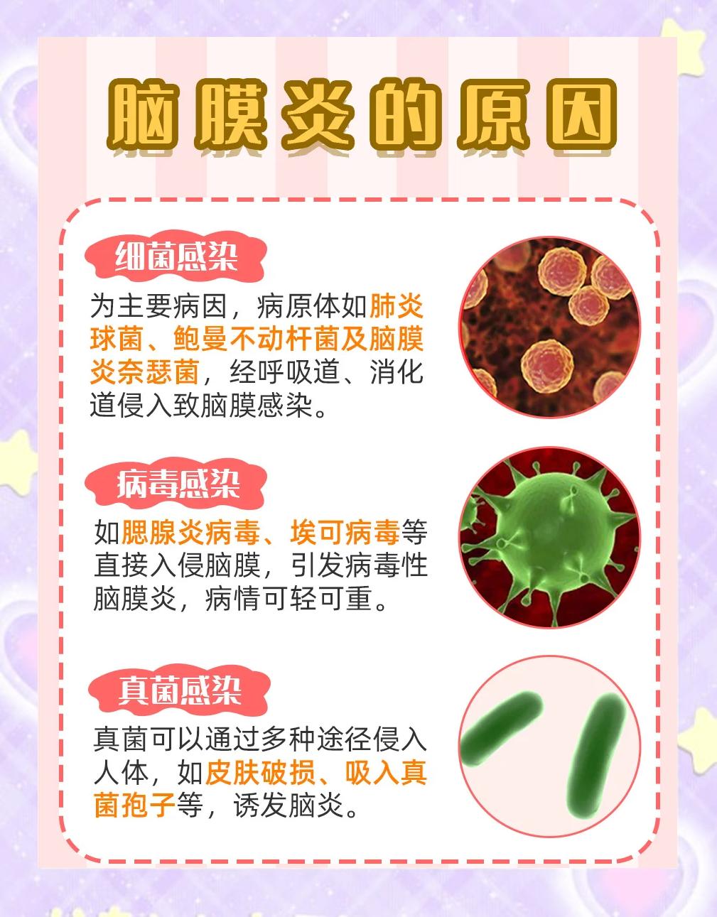 2025年12月6日 第5页