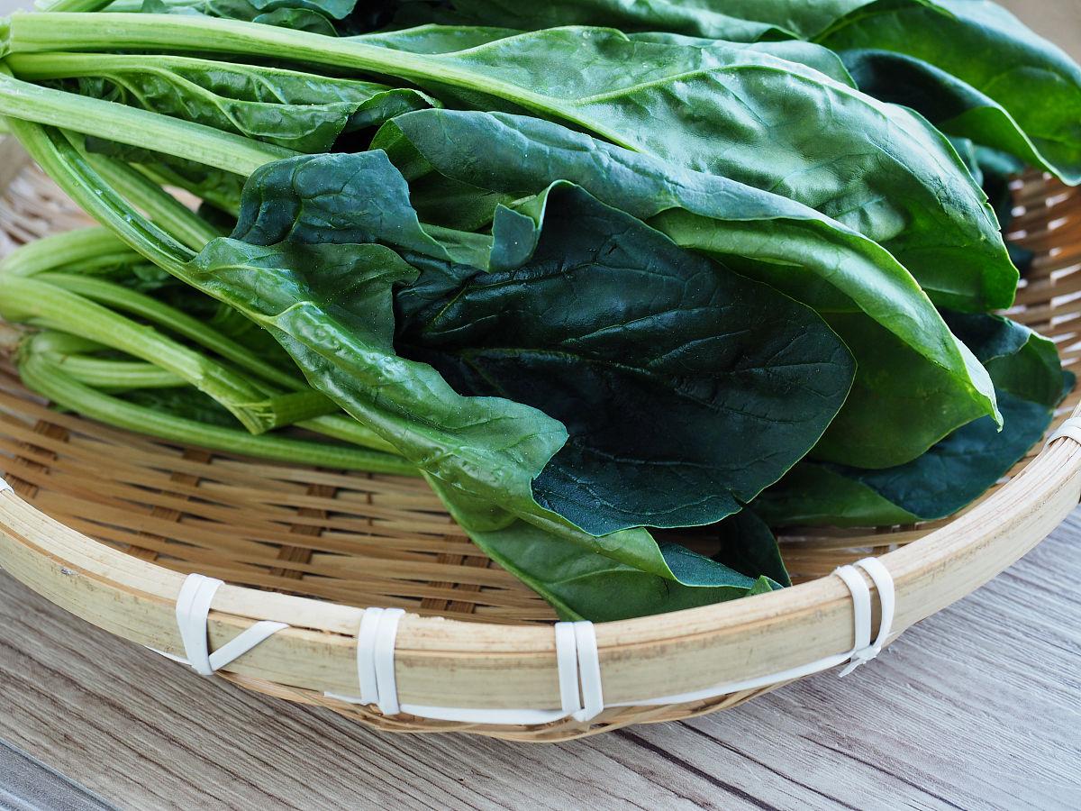 菠菜孕妇可以吃吗