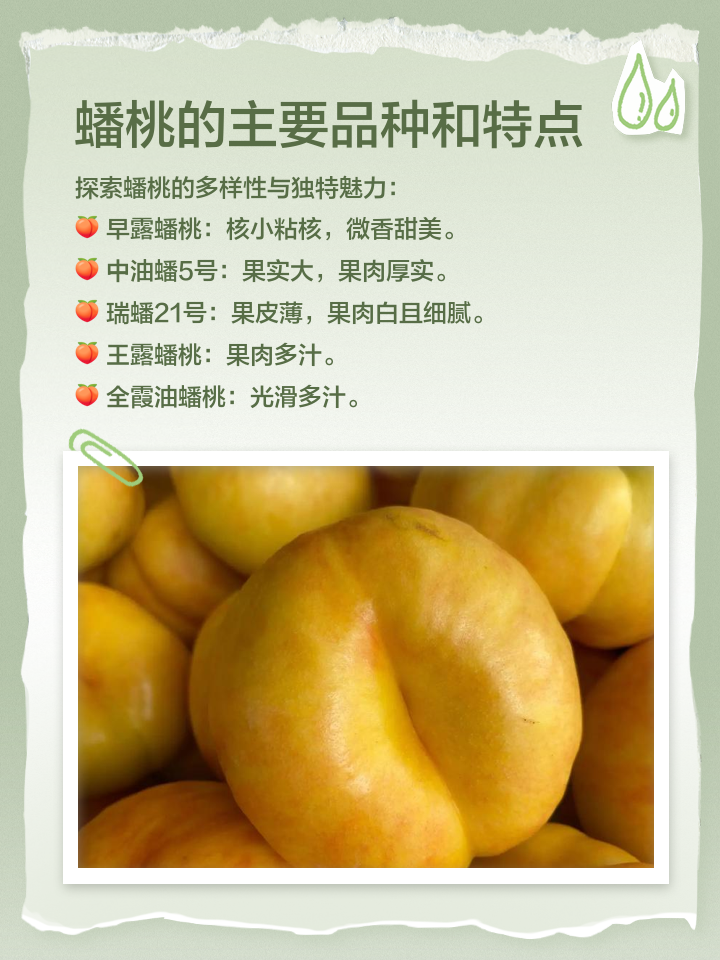 2025年12月7日 第42页