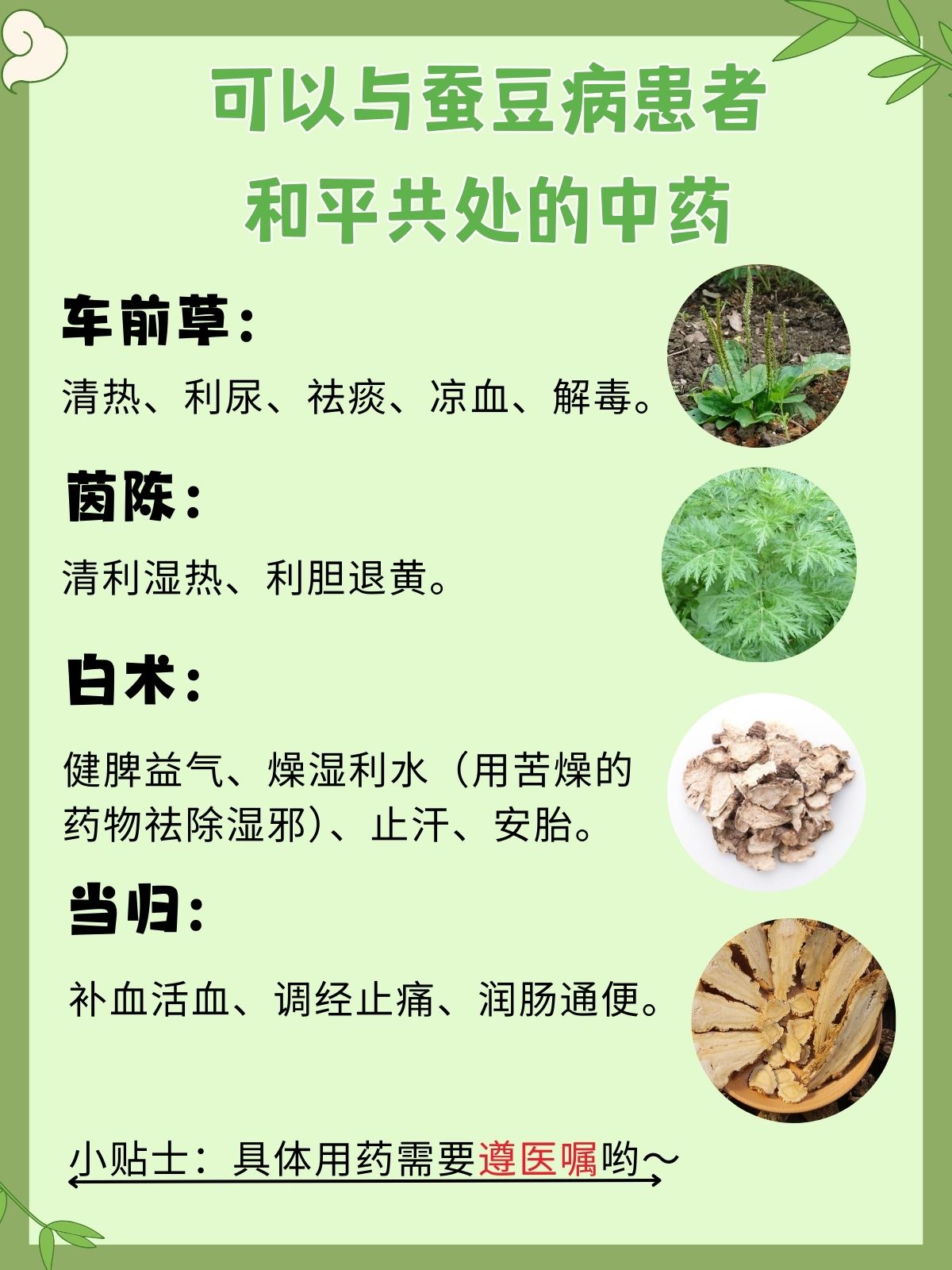 蚕豆病用药禁忌有哪些?