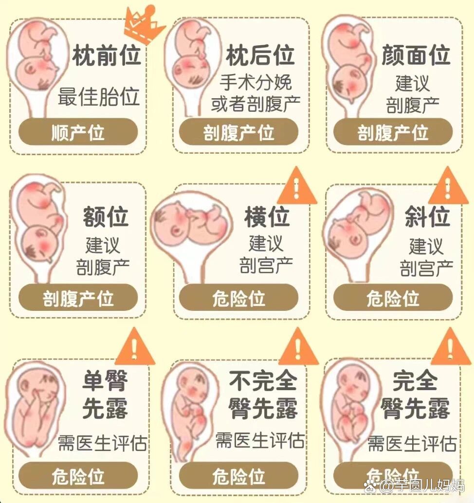 前置胎盘的病因?