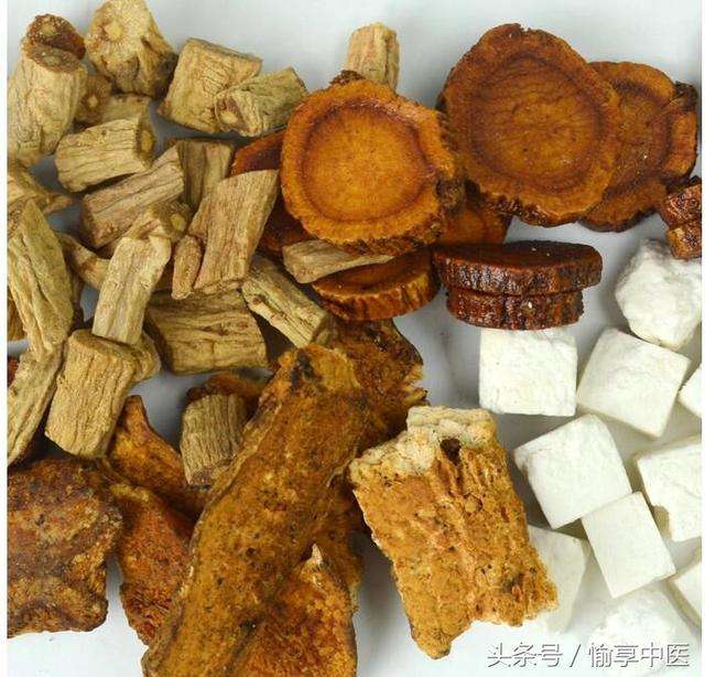 炮山甲的功效与作用