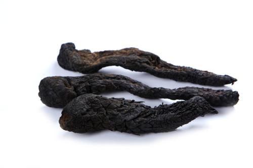 壮阳中药材有哪些