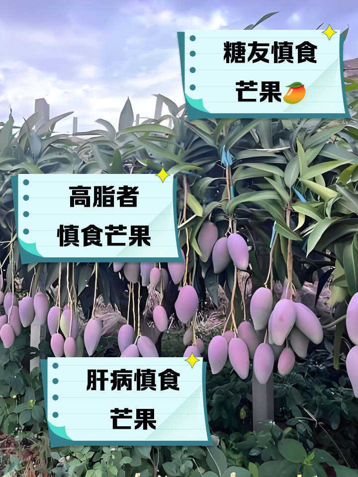 人流后能吃芒果吗