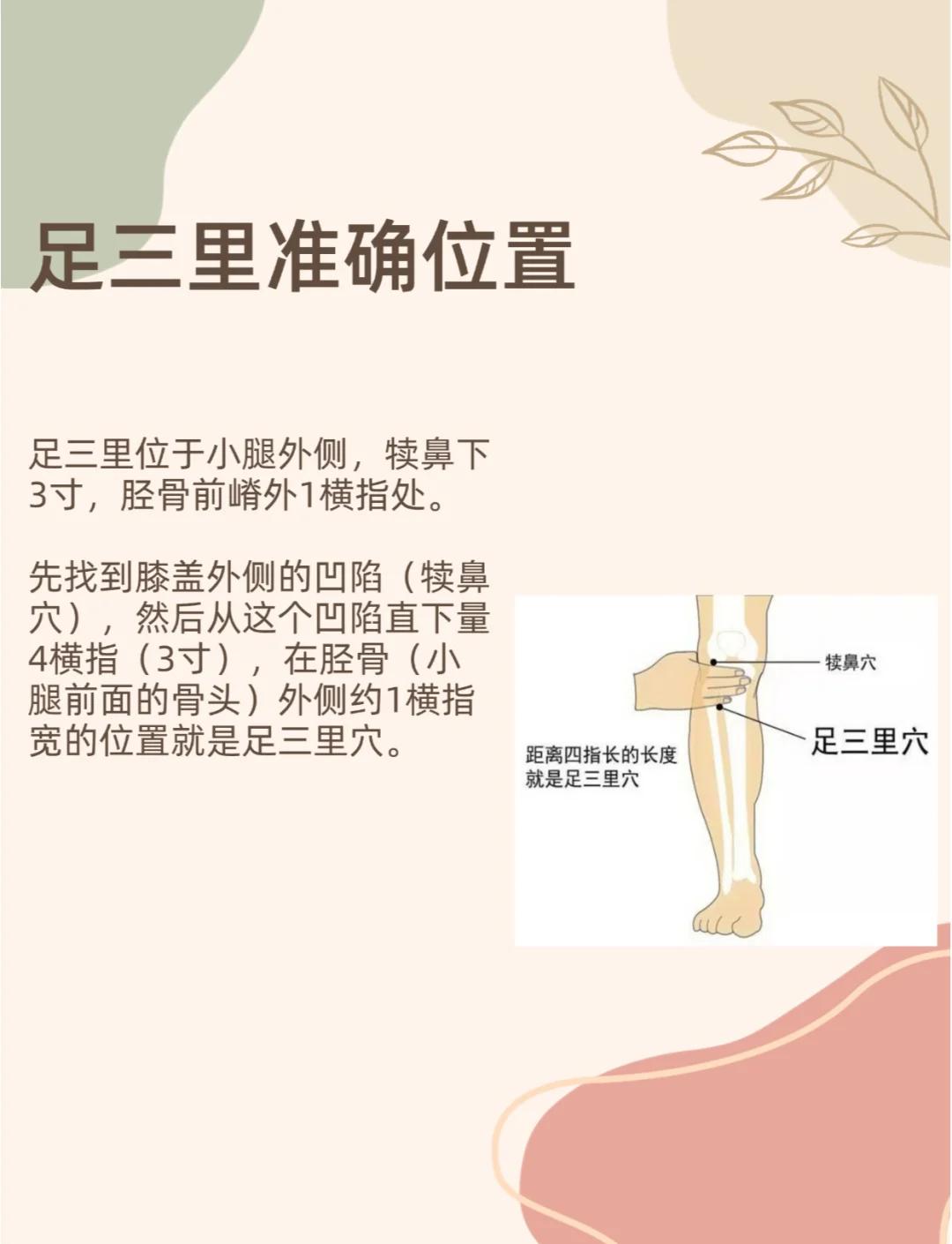 足三里穴的功效与作用