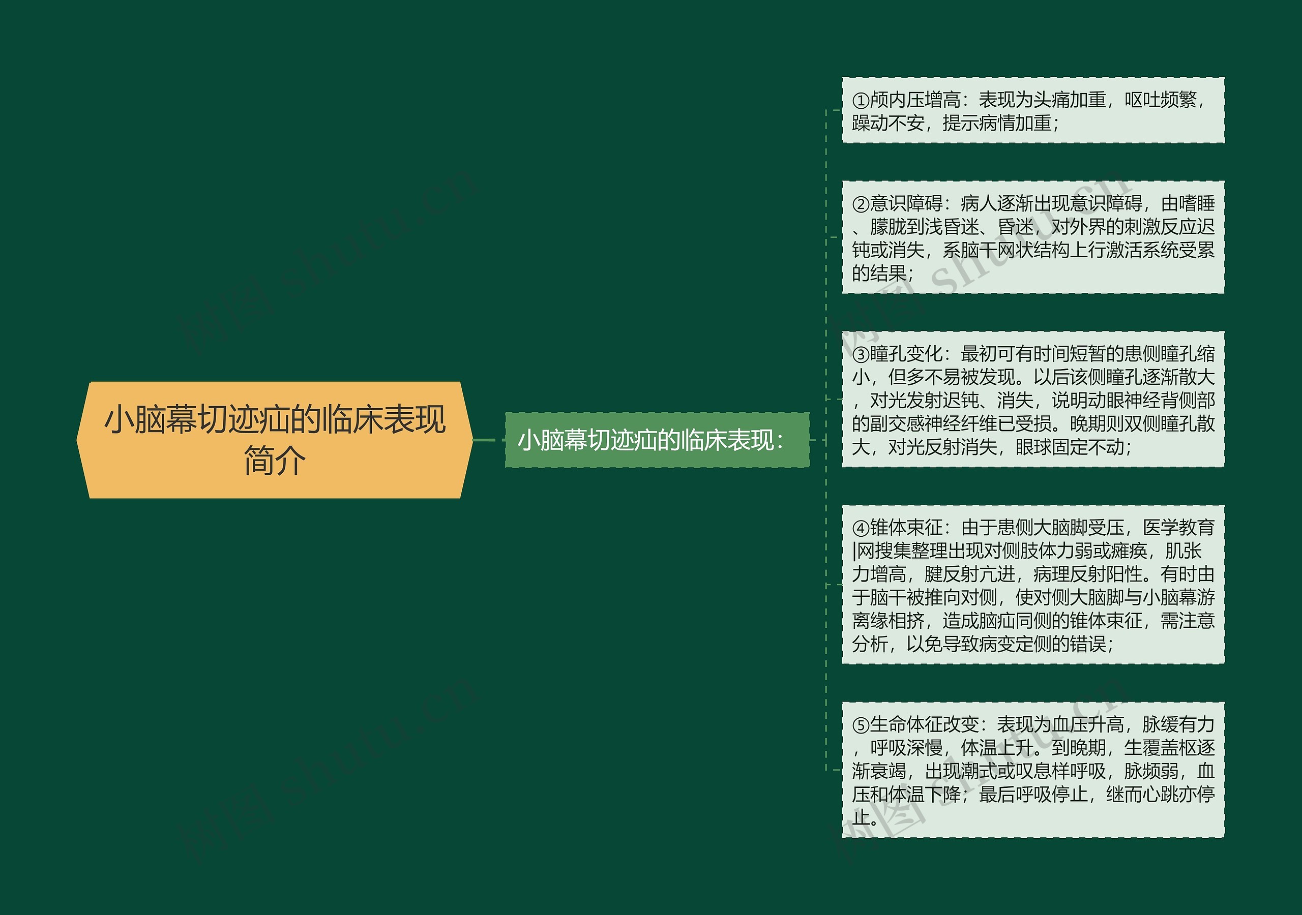 脑疝的临床表现