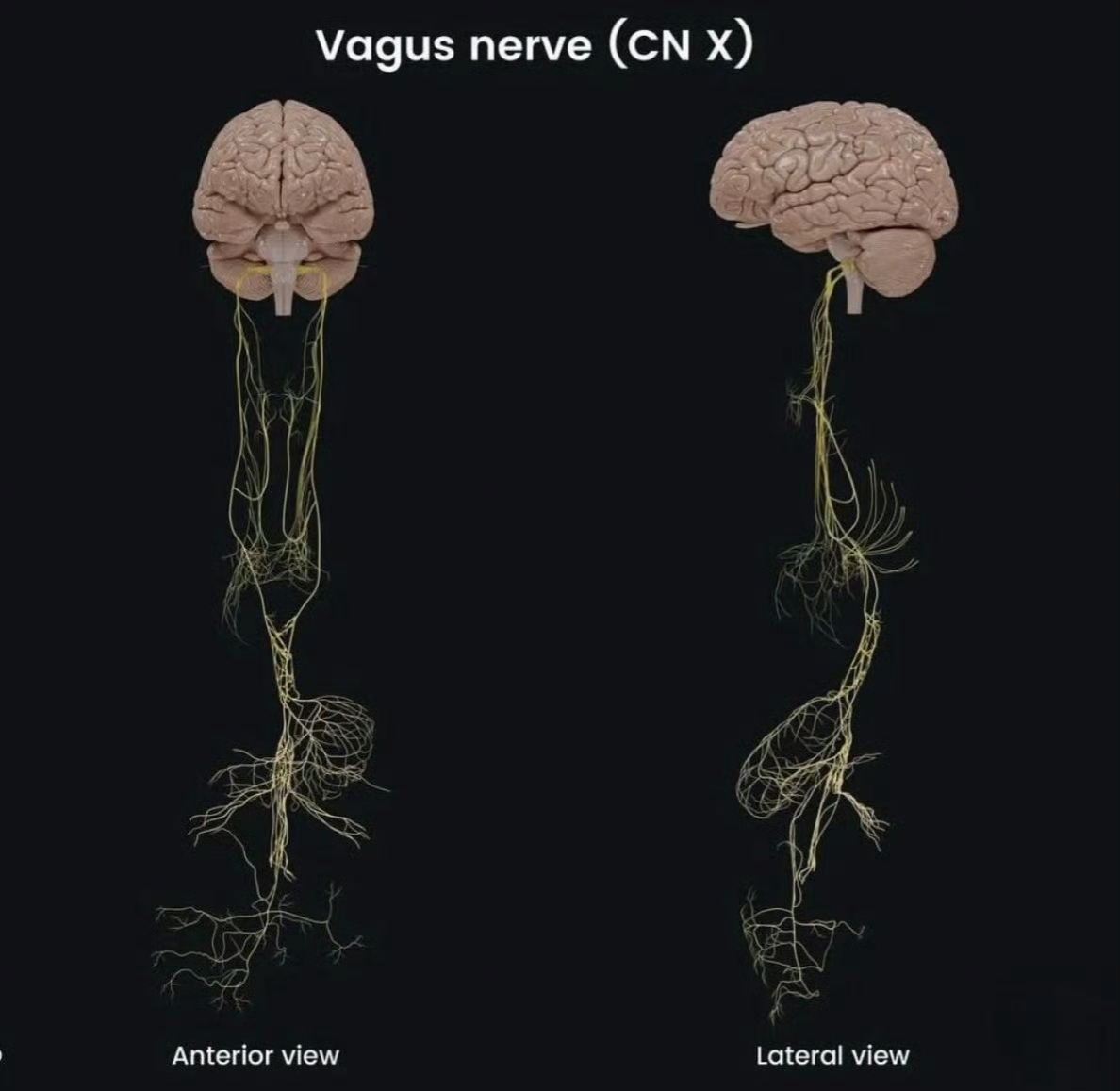 2025年12月7日 第3页