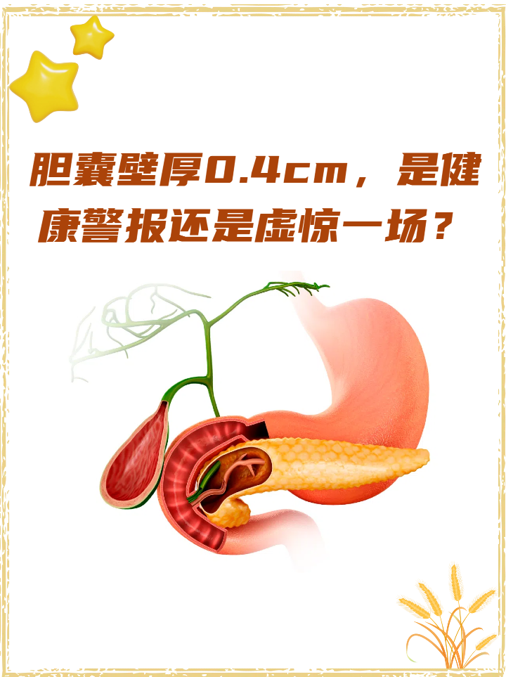 胆囊壁欠光滑什么情况