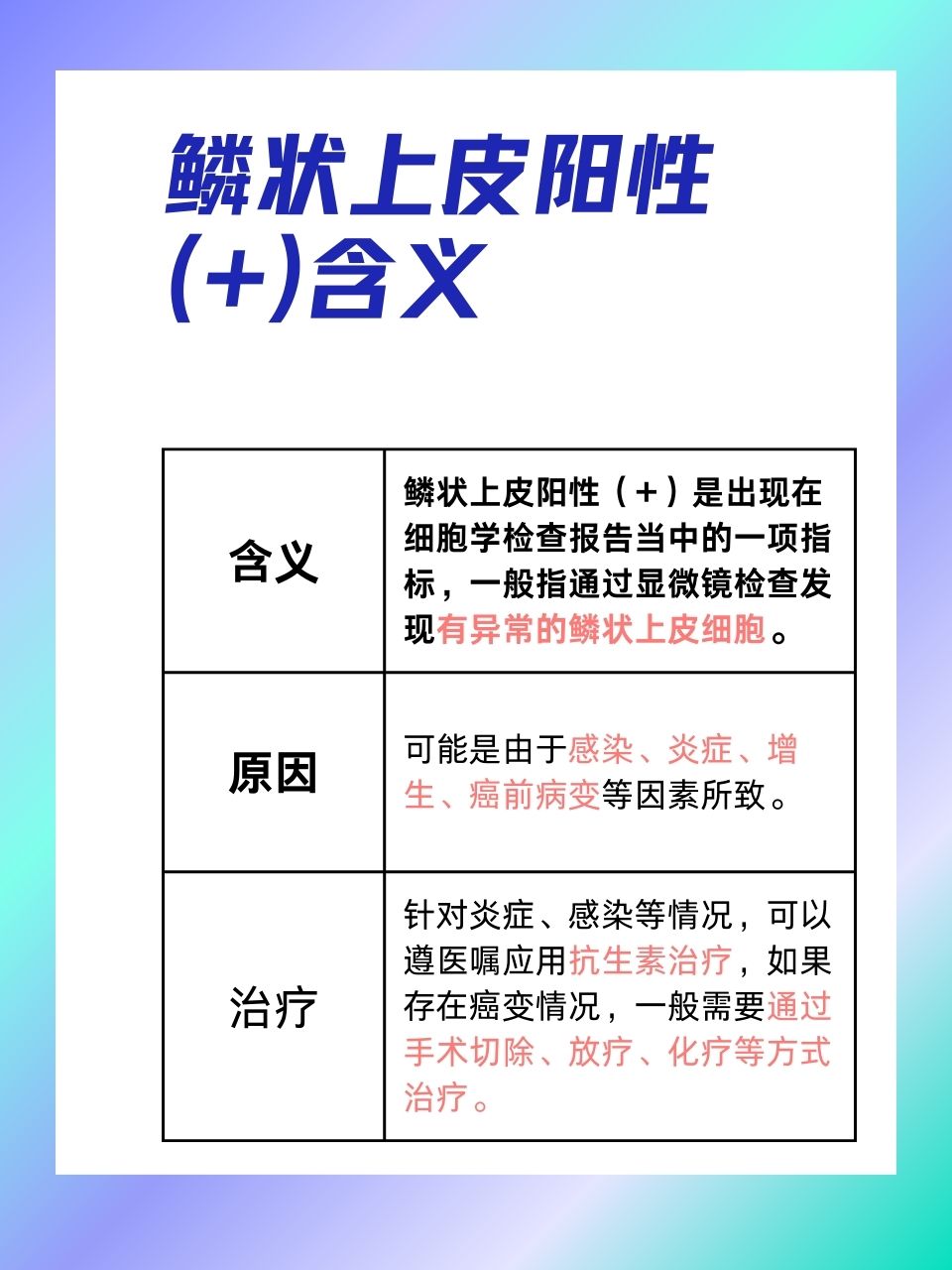 2025年12月8日 第41页