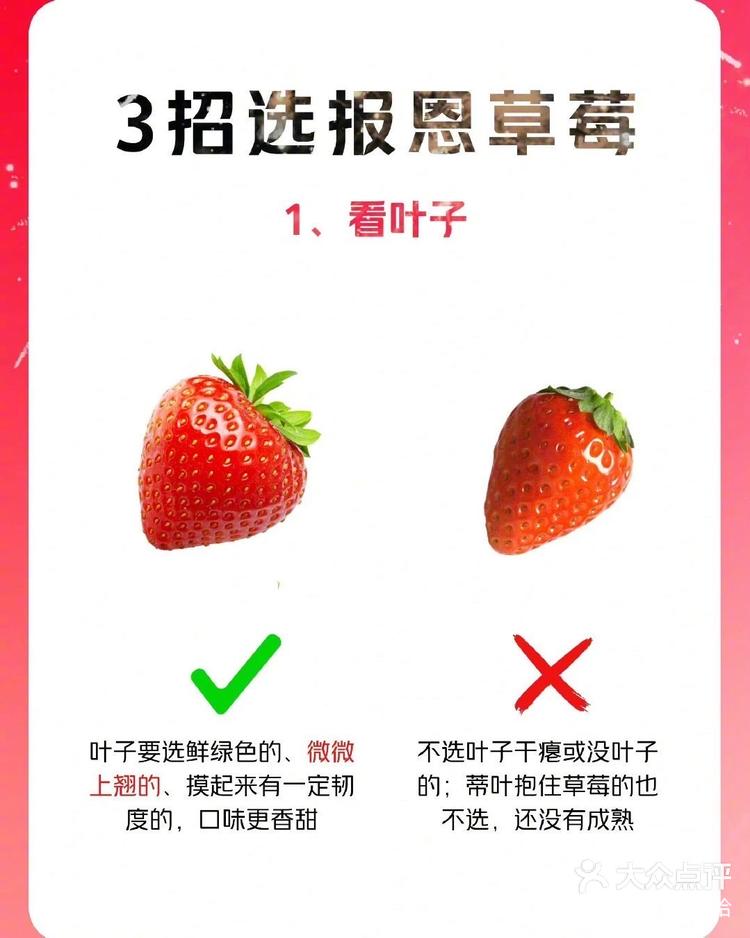 2025年12月8日 第37页