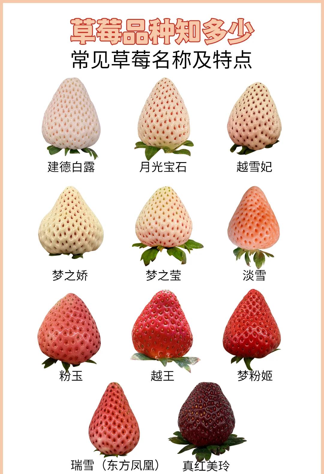 生理期可以吃草莓吗?