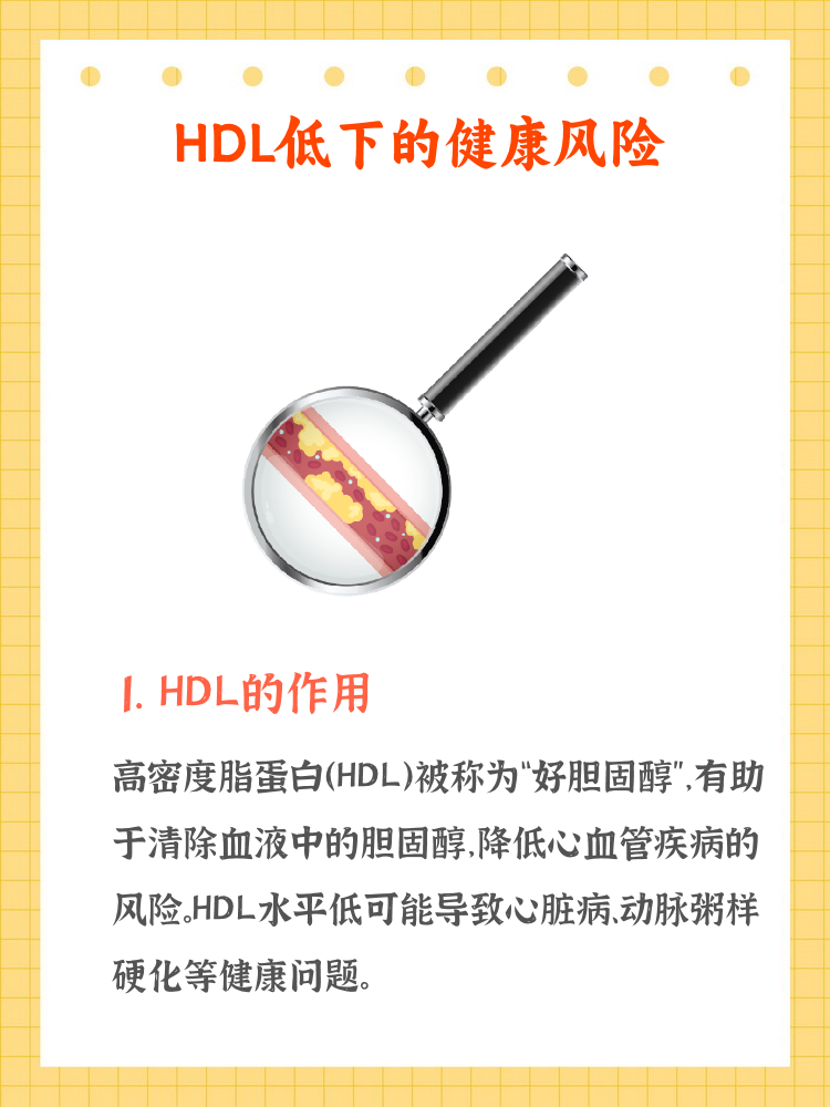 低密度脂蛋白偏高是怎么回事