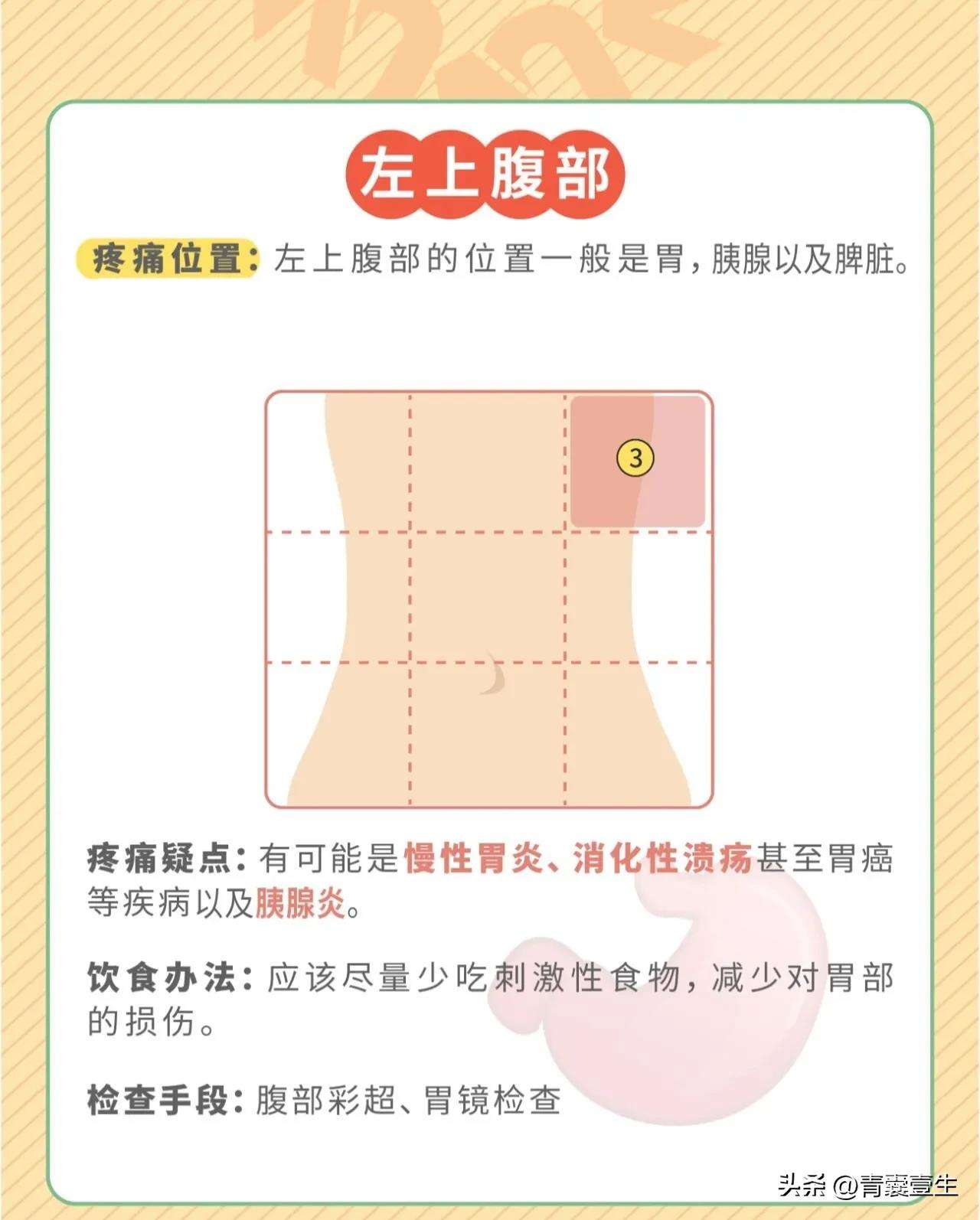 肚脐左边是什么器官