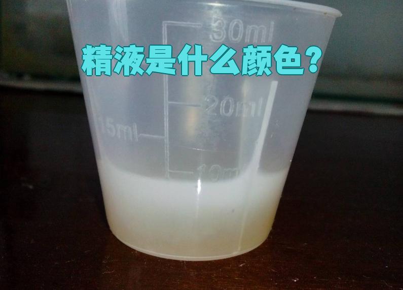 透明的精液可以怀孕吗?