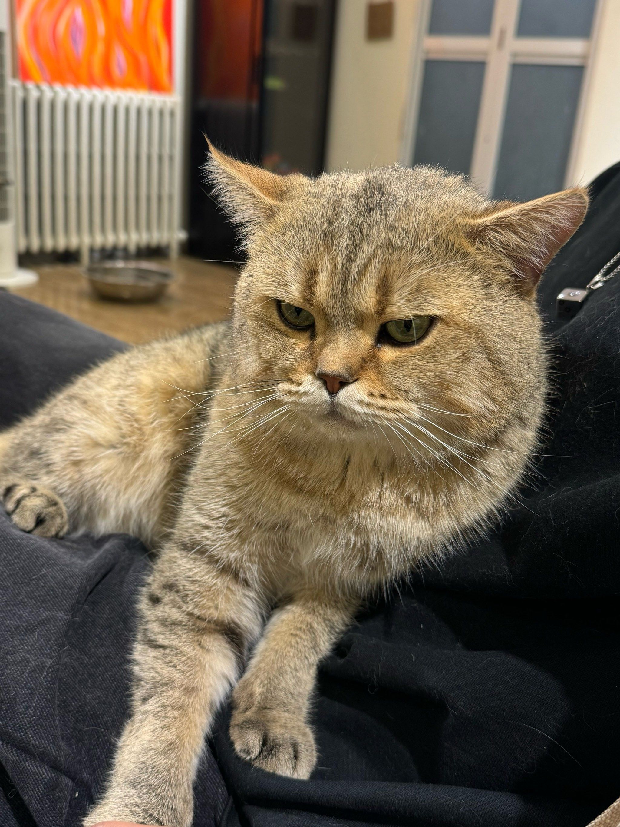 特别想撸,很爽,,撸的时候特别爽