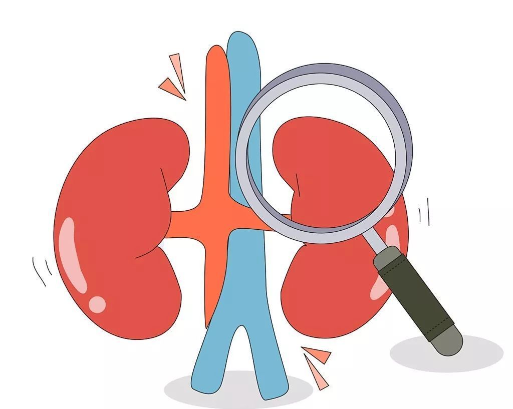 什么是急性肾衰竭