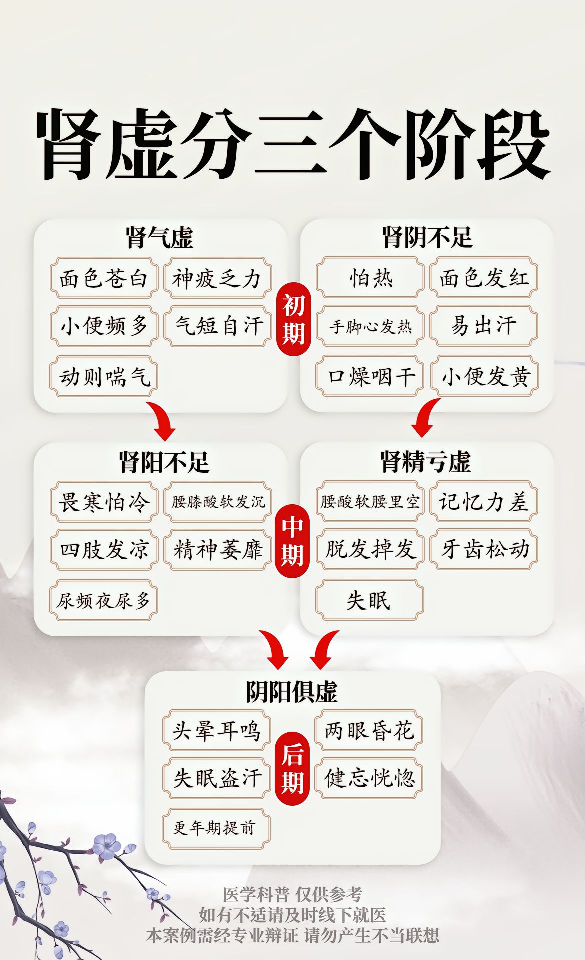 肾虚治疗要多少钱