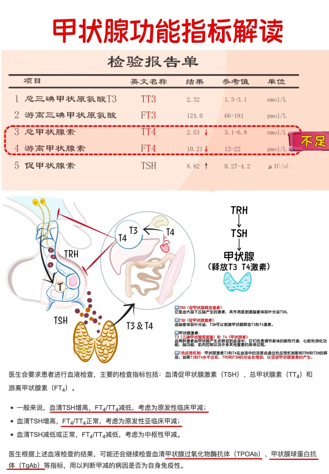 女性甲减的危害有哪些