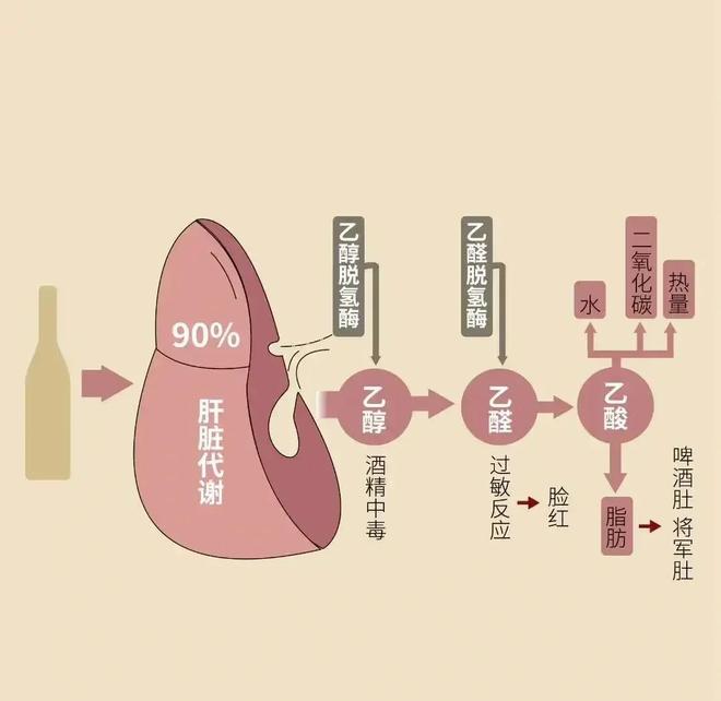 乙肝患者能喝酒吗?