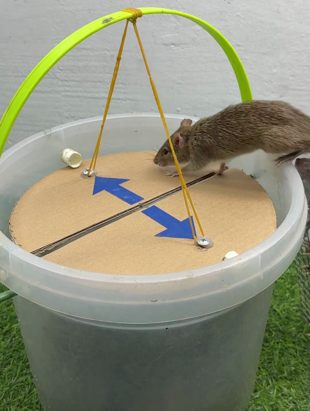 驱鼠器的正确使用方法