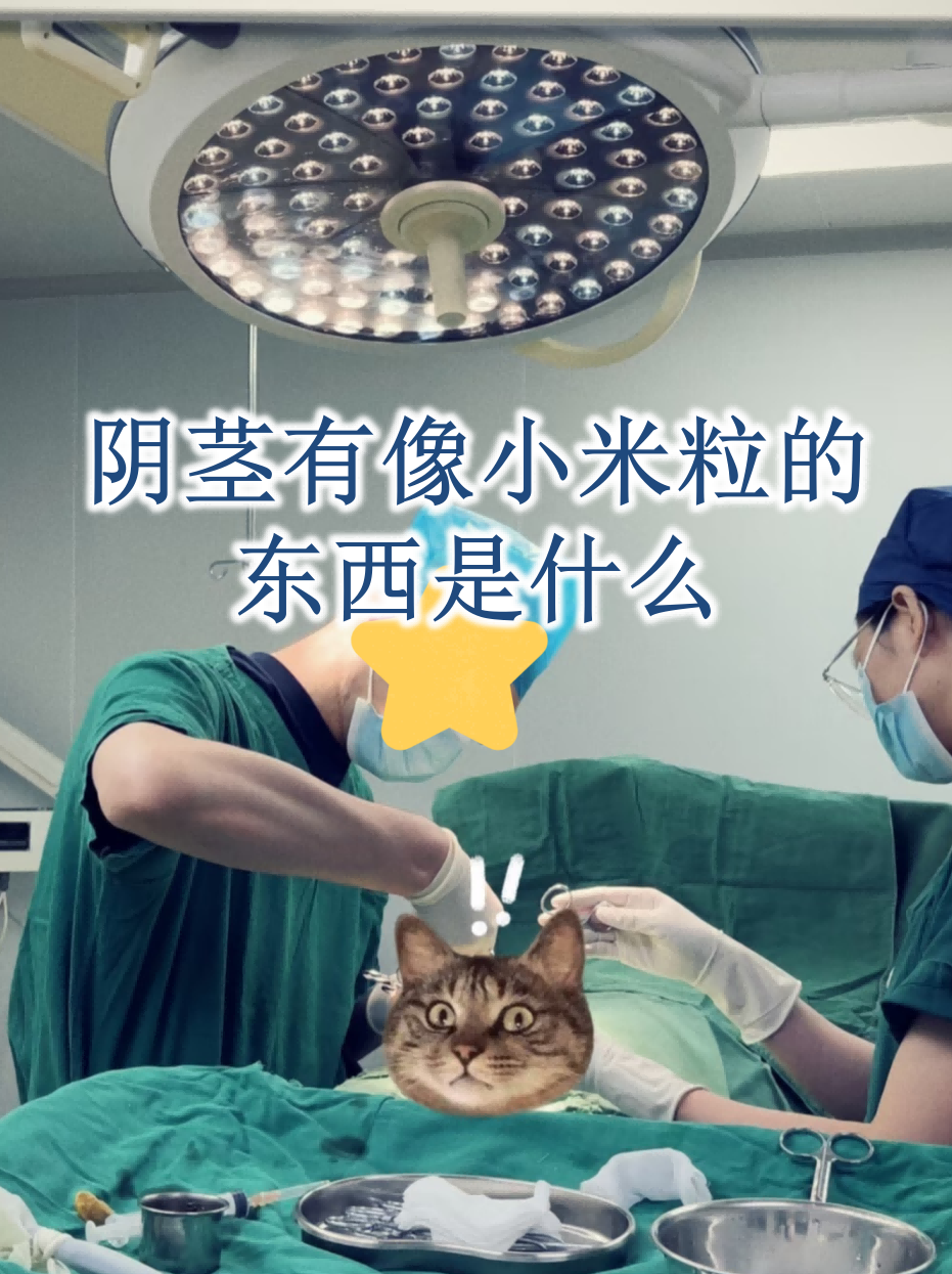 皮脂腺异位传染和遗传吗