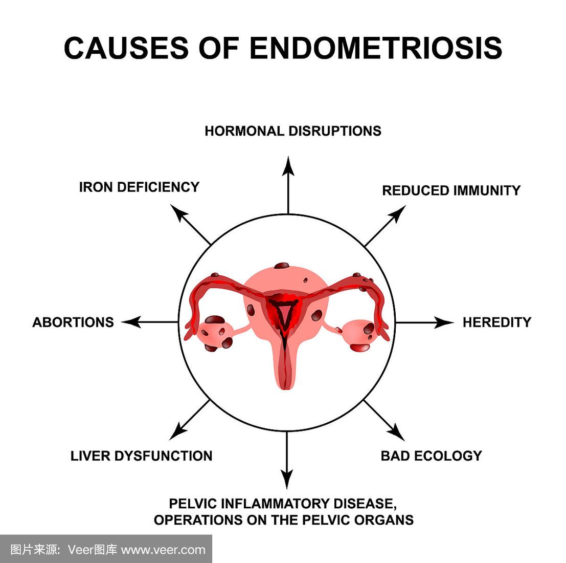 2025年12月9日 第21页