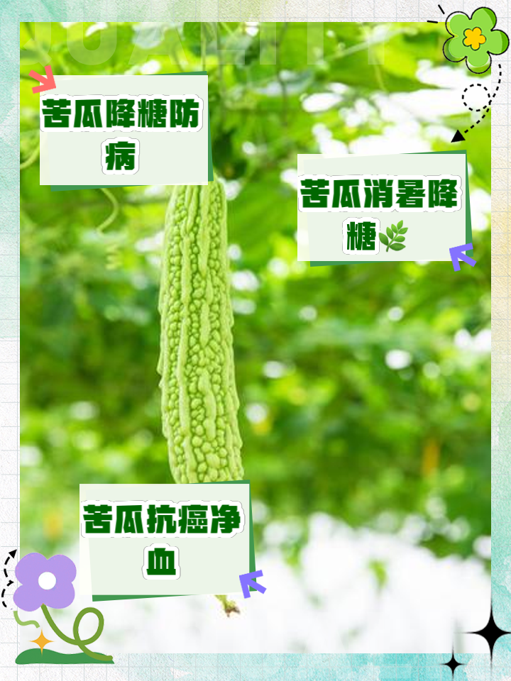 苦瓜怎么吃才能降血糖