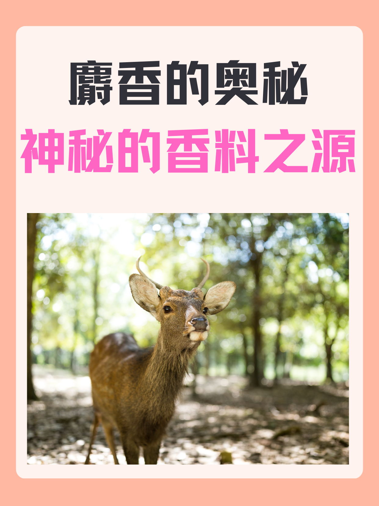 2025年12月9日 第12页