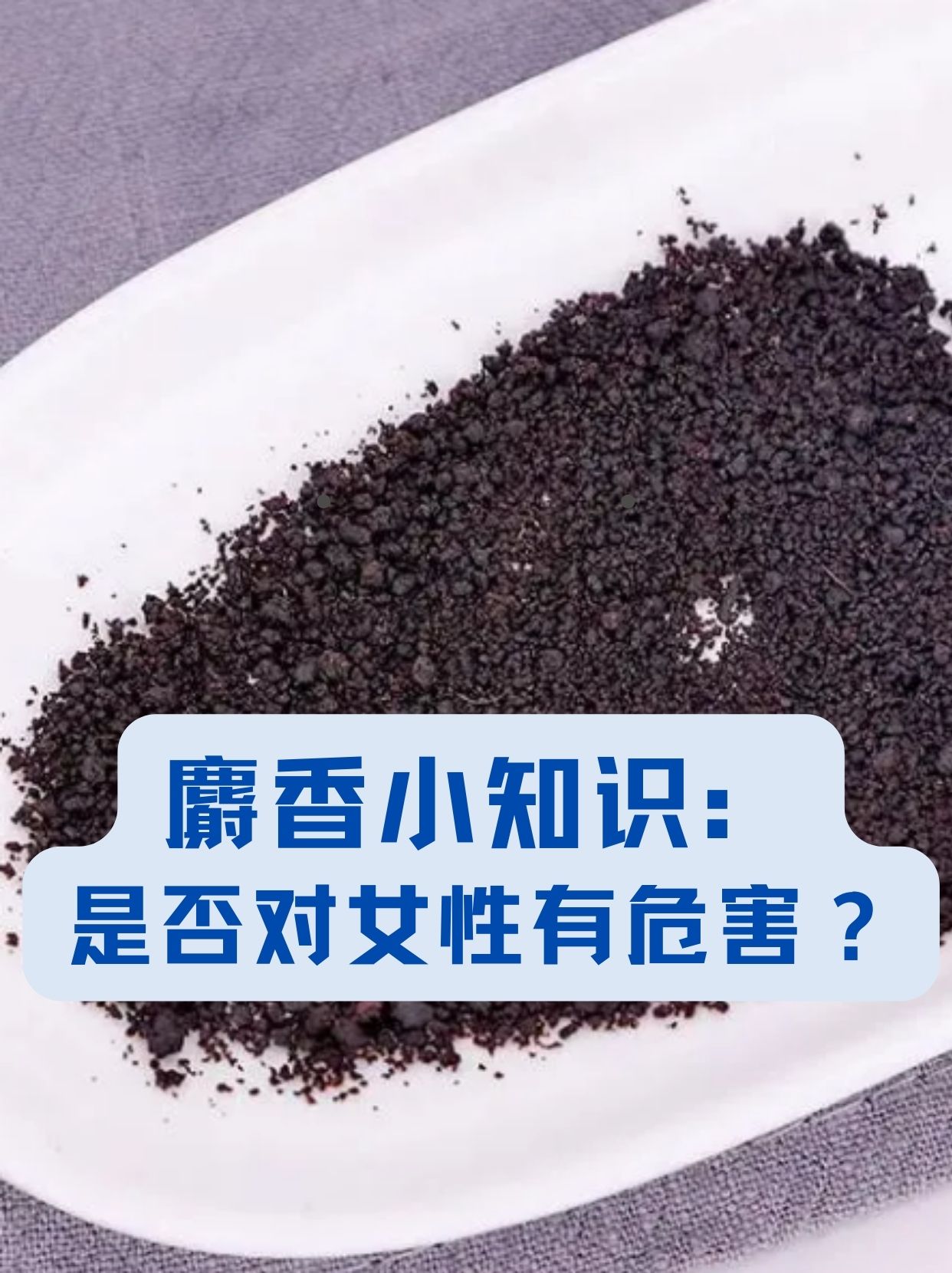 天然麝香现在多少钱一克