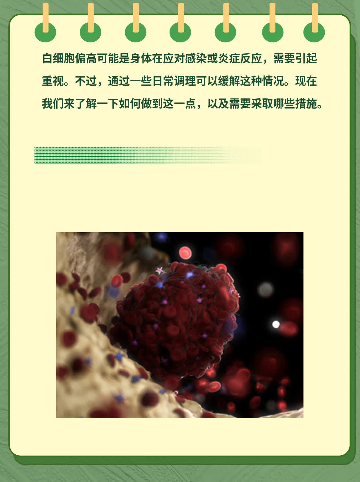 血常规白细胞偏高是什么意思?