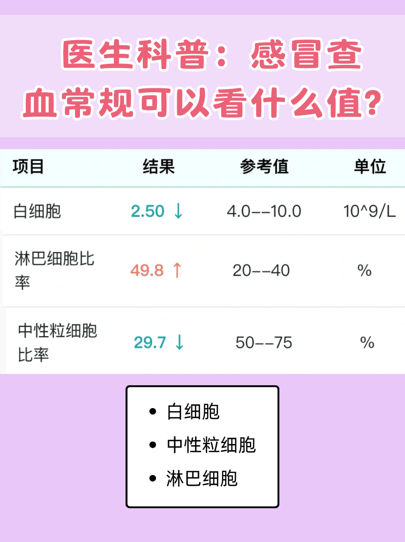 血常规能查出白血病吗?