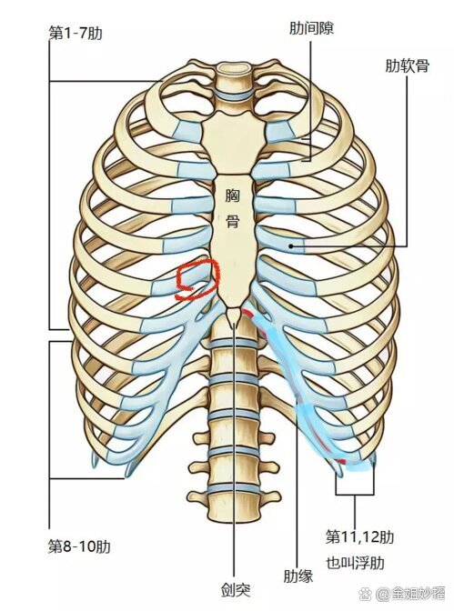 一呼吸左边肋骨里面疼,