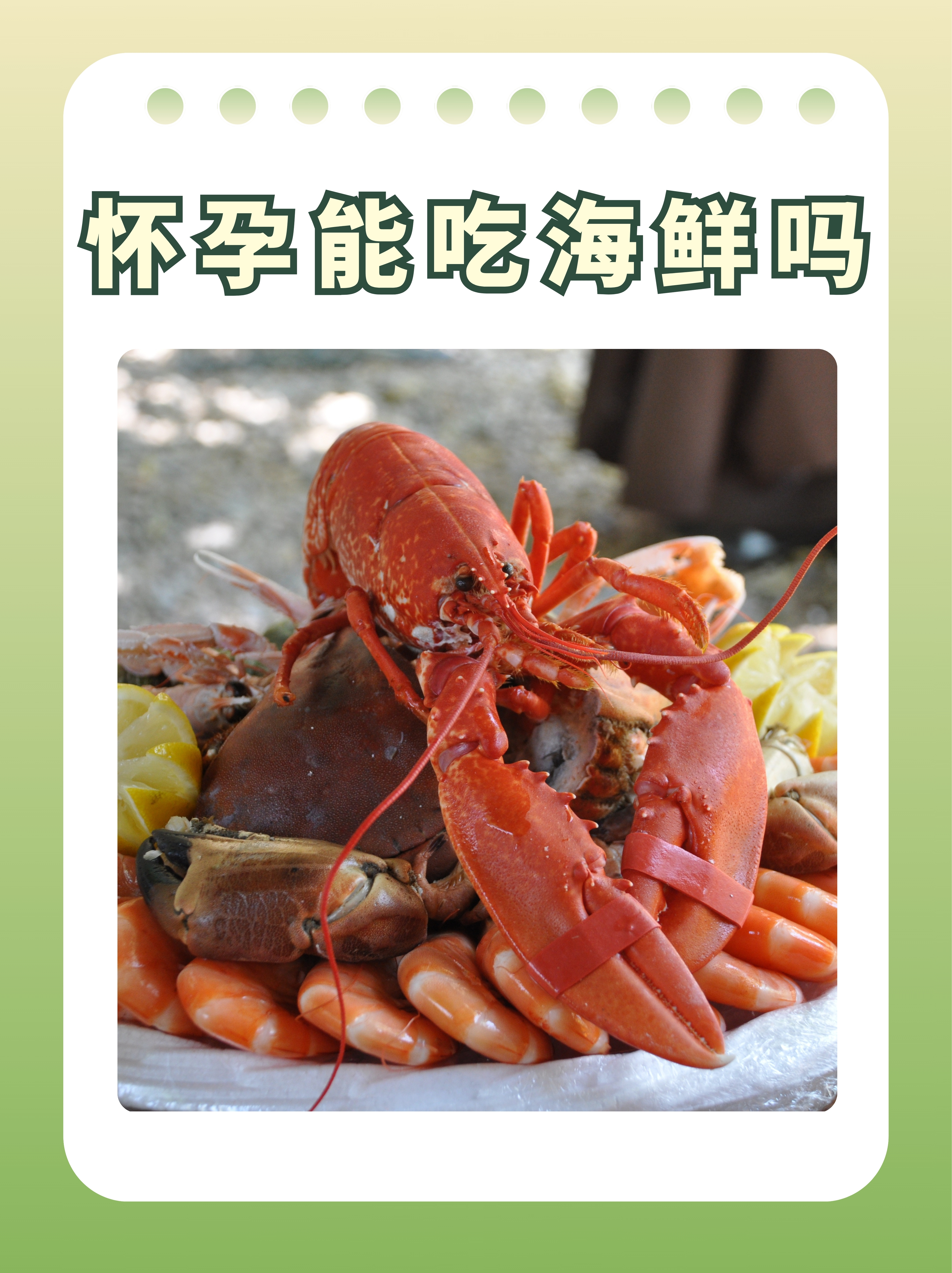 怀孕能不能吃龙虾