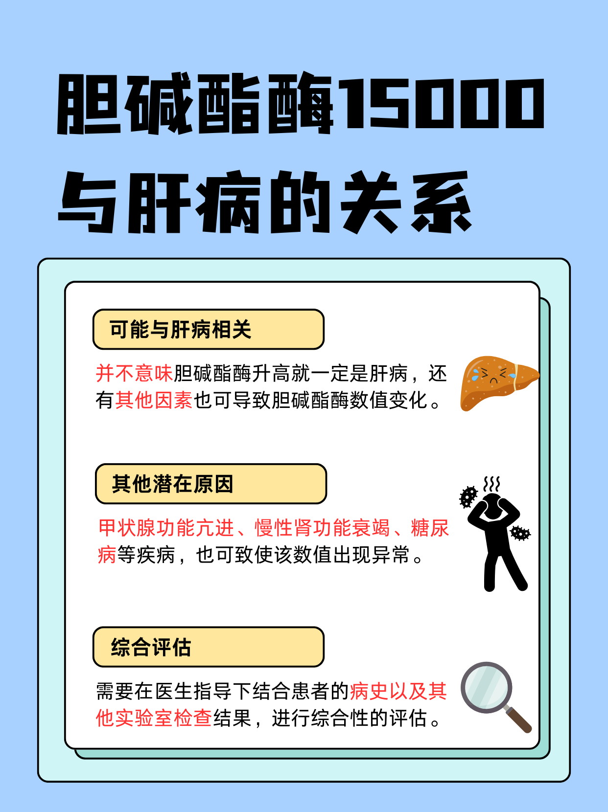 胆碱脂酶是什么意思