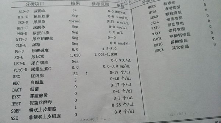 尿潜血2阴性其他指标正常