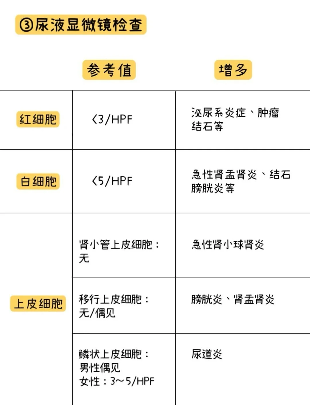 尿潜血2阴性其他指标正常