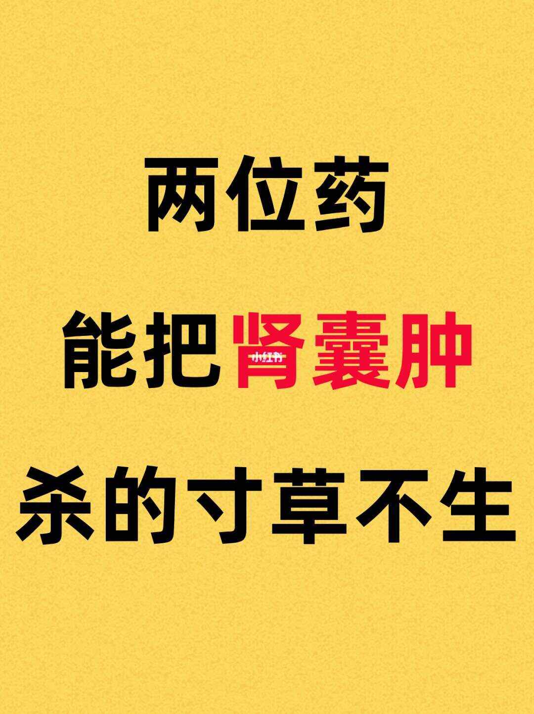 肾囊肿吃什么药能够消除?