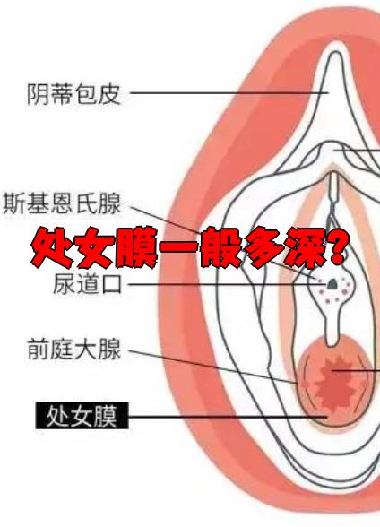 女性性生活没有感觉是怎么回事?