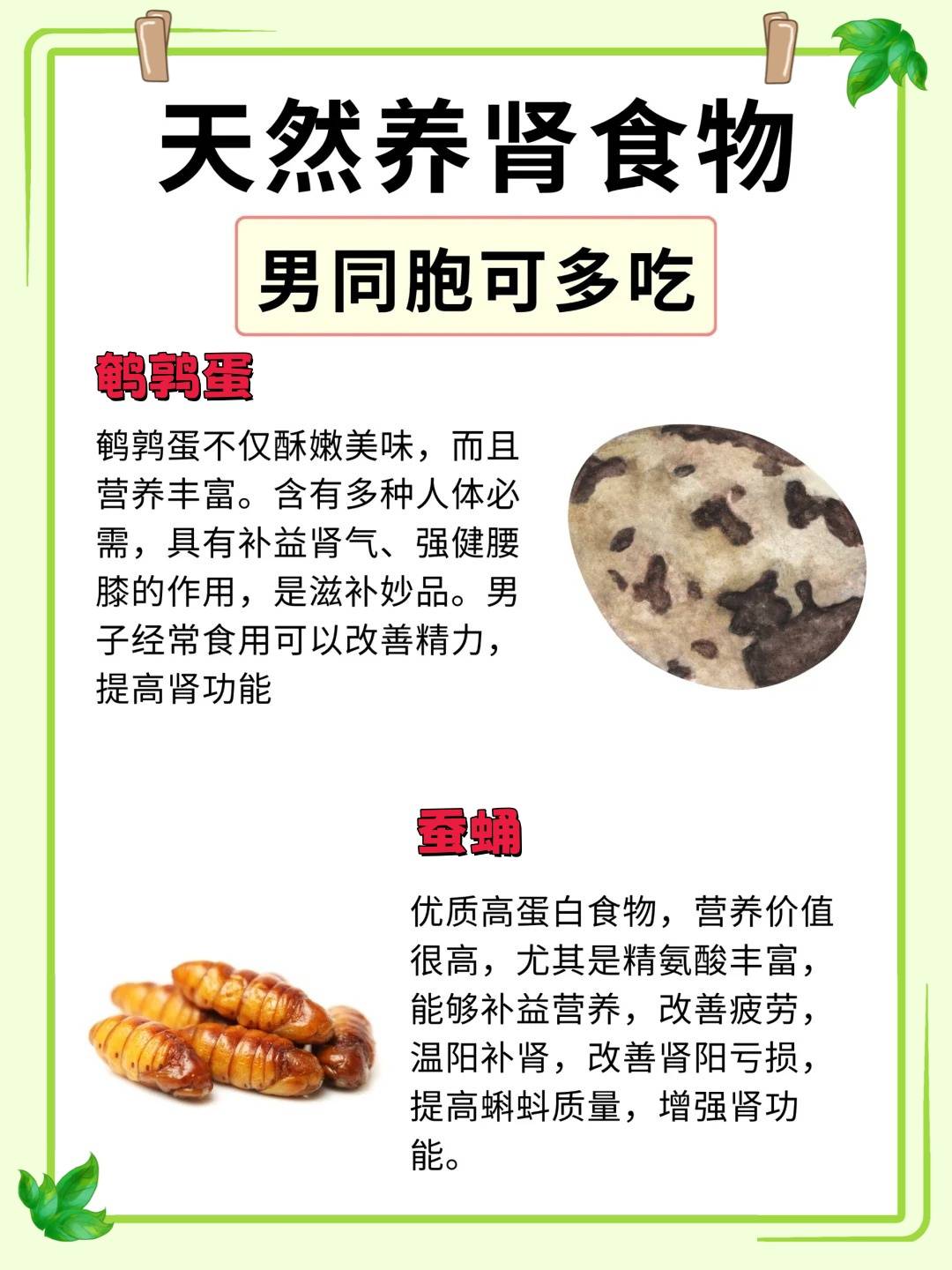 补肾的食物有哪些