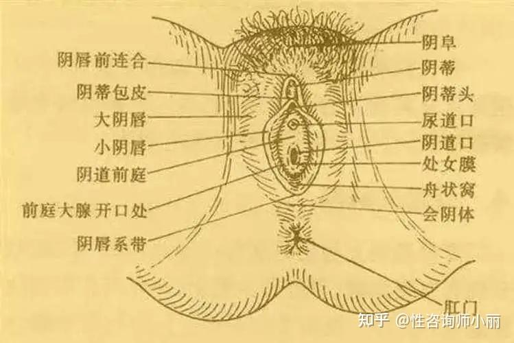 女生第一次的表现