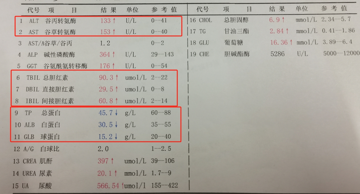 肝功检查结果怎么分析