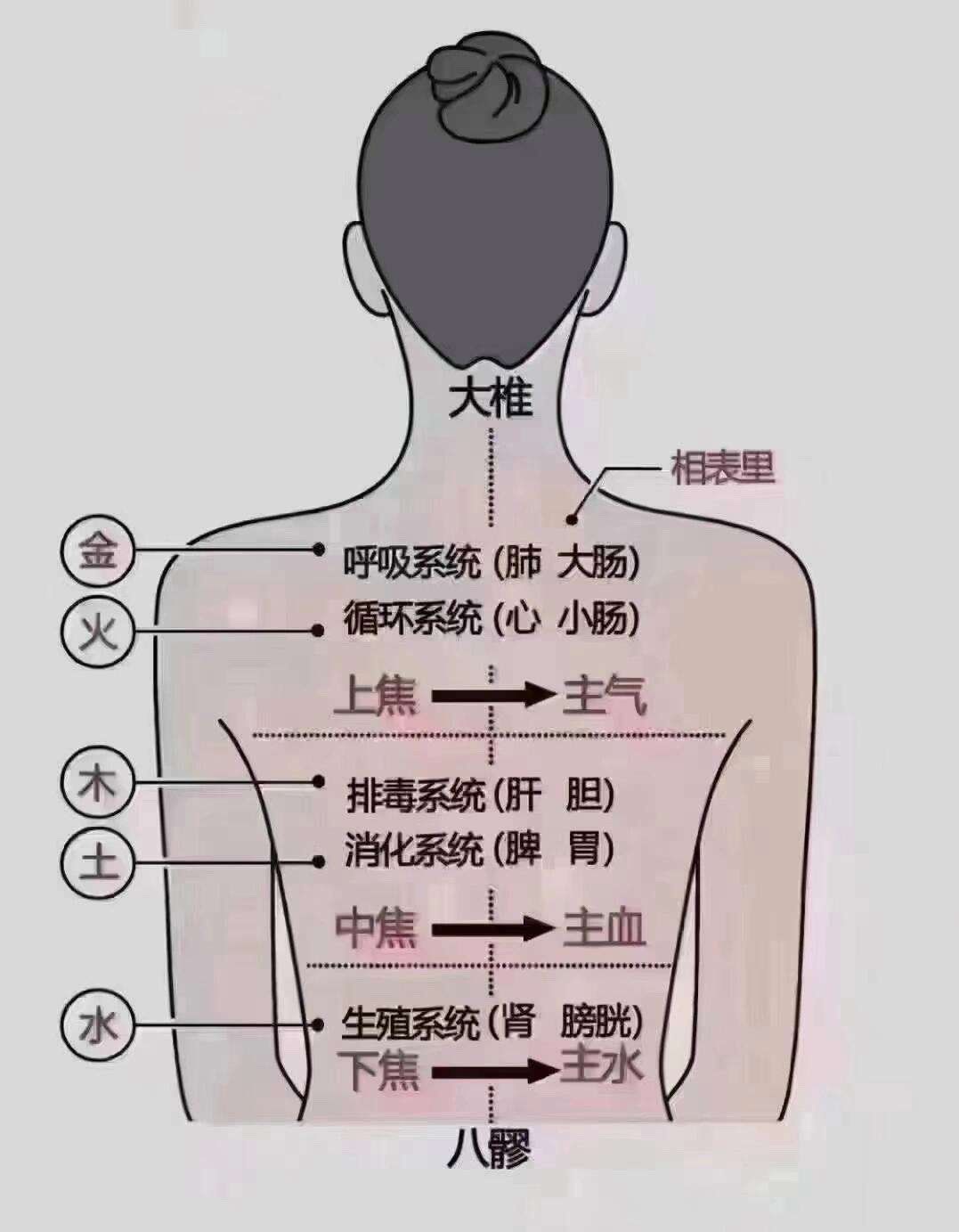 引起背部疼痛的原因