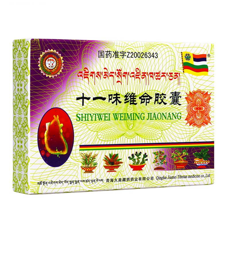 十一味参芪胶囊功能主治什么?