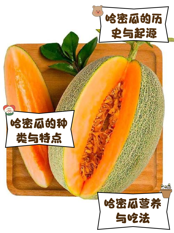 产后能吃哈密瓜吗?